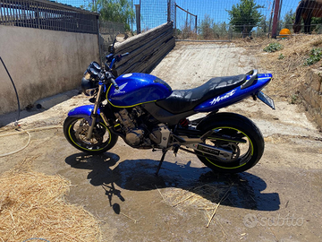 Honda hornet