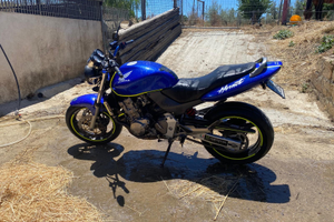 Honda hornet