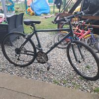 bici da uomo  taglia 26 castagnone
