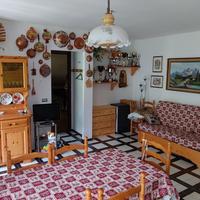 Luglio spazioso e con giardino condominiale