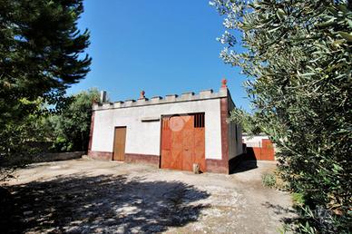 RUSTICO A CEGLIE MESSAPICA
