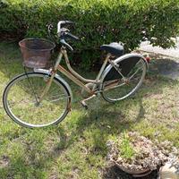 bicicletta olandese