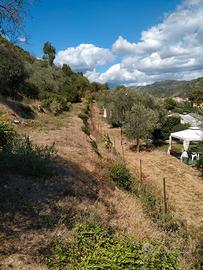 Terreno agricolo con annessi due rustici