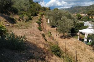 Terreno agricolo con annessi due rustici