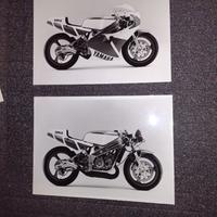 DOCUMENTAZIONE BELGARDA YAMAHA TZ250 R 1986