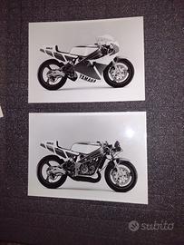 DOCUMENTAZIONE BELGARDA YAMAHA TZ250 R 1986