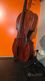 Violoncello Antico 