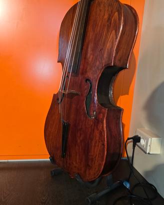 Violoncello Antico 
