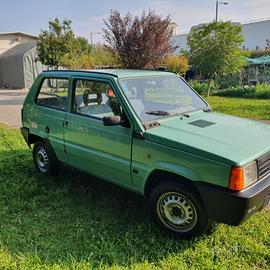 FIAT PANDA YOUNG ASI CRS