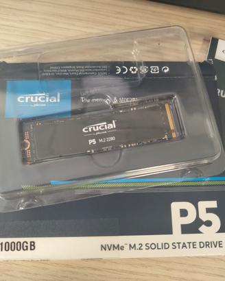 Hdd M2 Crucial P5 M2 2280 1000GB