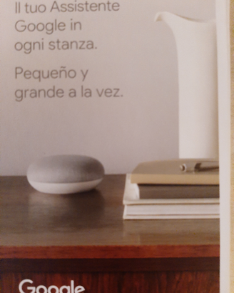 Google Nest mini