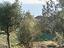 Immagine 6