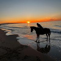 Casa mare puglia Gargano
