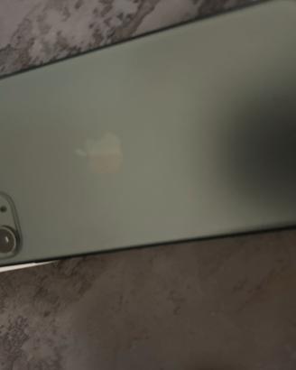 IPhone 11 Pro Max 256 giga