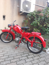 MOTOM 48 anno 1970