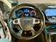 Immagine 12