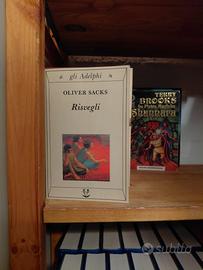 Risvegli – Oliver Sacks