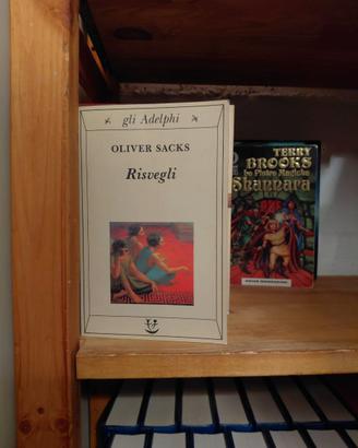 Risvegli – Oliver Sacks