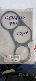 Cover strumentazione Yamaha fz 750 genesis