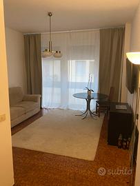 Splendido loft sui Lungarni