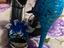 Immagine 4