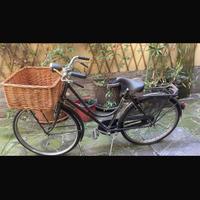 Bicicletta Bianchi lusso