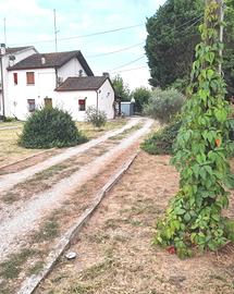 Riva del po (fe) localita' Berra rif.23