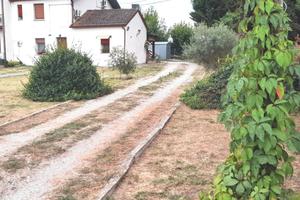 Riva del po (fe) localita' Berra rif.23