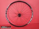 ruota-posteriore-notubes-flow-dt-swiss-350-27-5