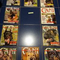 Cani una rivista di razza anno 2000