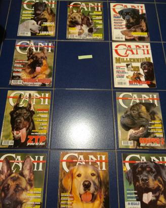 Cani una rivista di razza anno 2000