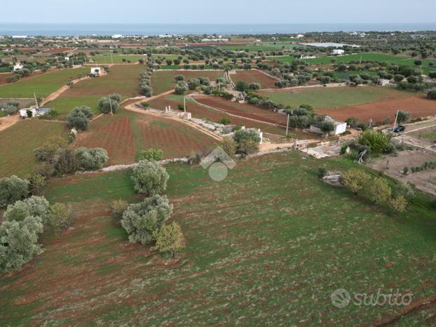 TER. AGRICOLO A POLIGNANO A MARE