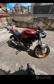 Ducati monster