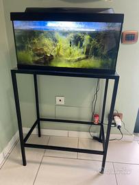 acquario Tetra starter line 54l + mobile 
