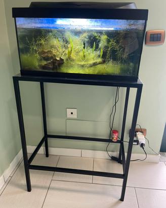 acquario Tetra starter line 54l + mobile 