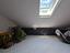 Immagine 19