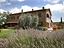 Immagine 20