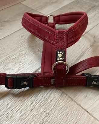 Pettorina Hurtta Casual Y Classic - usato