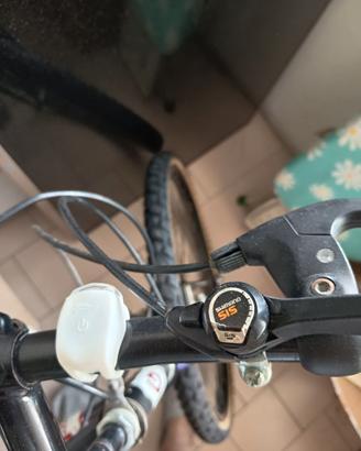 BICICLETTA