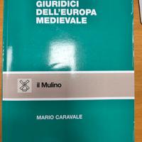 libri universitari 