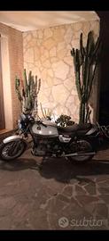 BMW R65 ANNO 1983 ISCRITTA ASI E FMI