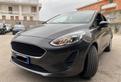 Ford Fiesta 1.1 85 CV 5 porte anno 2019