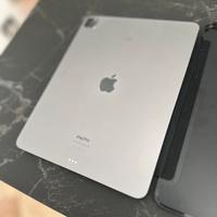 iPad pro 12.9  256gb