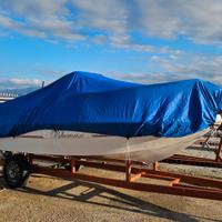 carrello varo alaggio