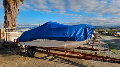 carrello varo alaggio