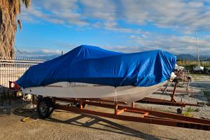 carrello varo alaggio