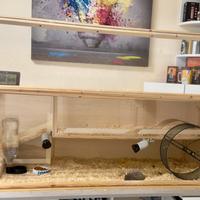 Teca terrario riscaldato in legno termostato wifi