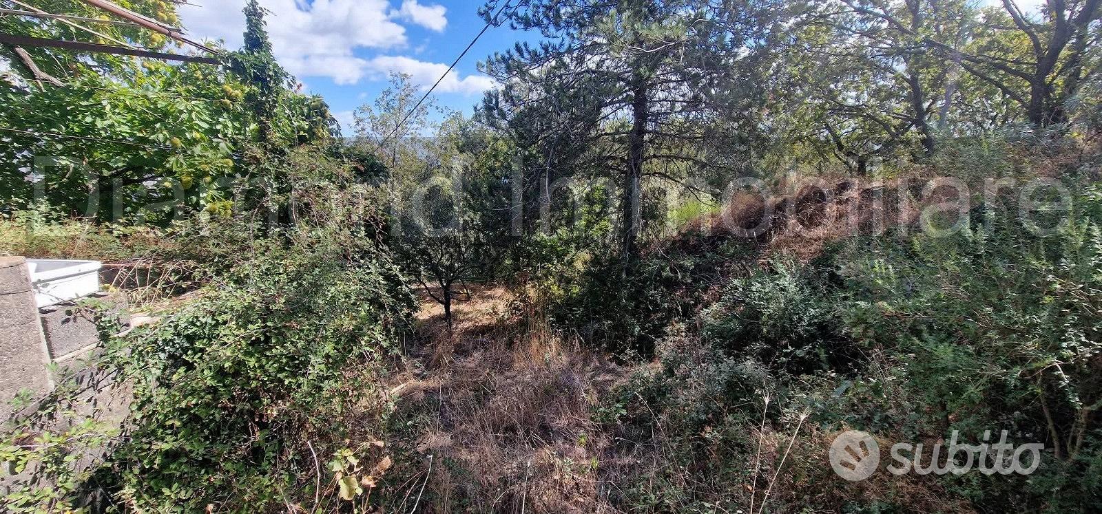 Casetta di campagna con terreno a Linguaglossa - Vista 4