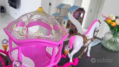 Carrozza con cavallo