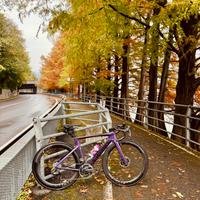 Venge sworks tg.52